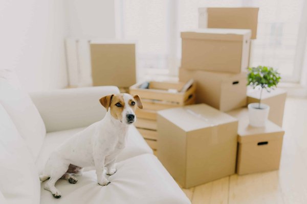 What's the Best Way to Retrofit Heated Seats in Older Vehicles for Increased Comfort?